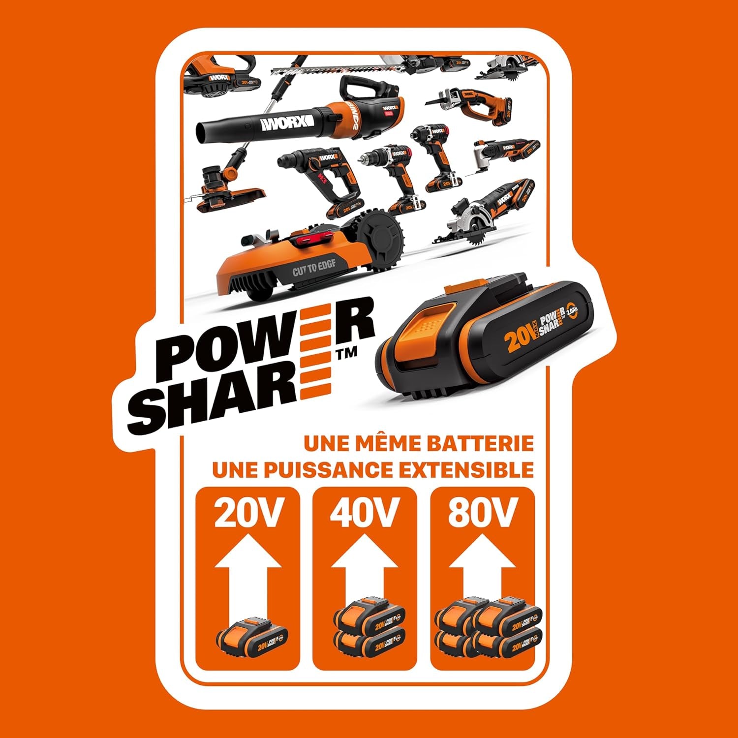 Aspirateur Sans Fil Eau Et Poussières Brushless 20V WX031.9, Moteur 300W, Réservoir 11L, Livré Avec Buse Large, Suceur Plat, Tuyau Flexible, Bandoulière, Sans Batterie Ni Chargeur