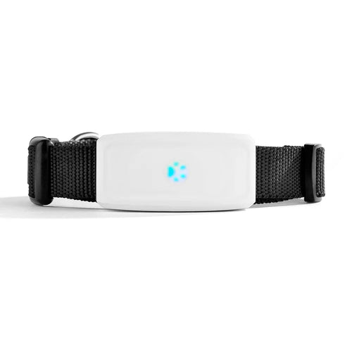 2G GSM GPS Tracker Pet TK911 GPS Locator Mini GPS Pets Tracker 2G GSM Best Dog GPS Tracker with Free APP Waterproof IP67 - Golden High-Tech