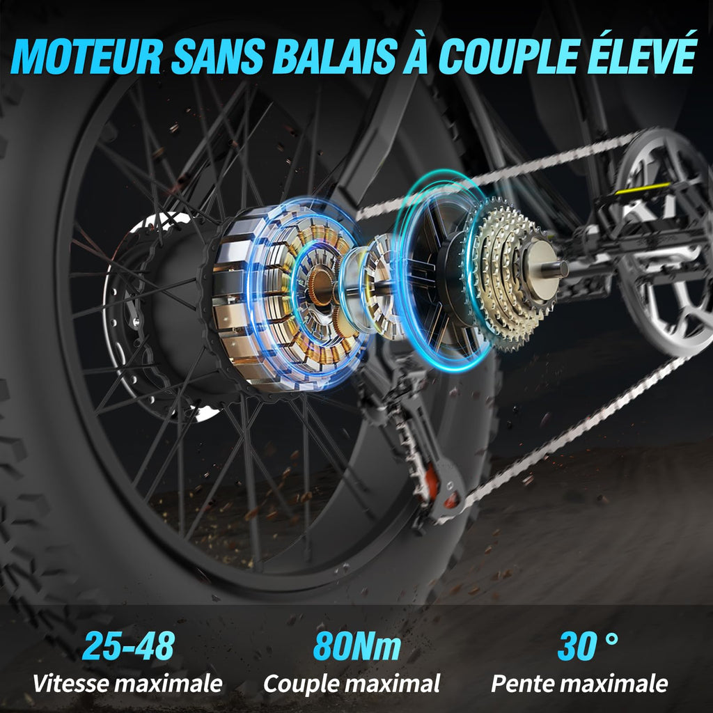 YVY Vélo Électrique, Batterie Amovible 20/40Ah, Autonomie 120km/150km/300km, Fat Bike Électrique, VTT Électrique 7 Vitesses, E-Bike Double Suspension, Double Disque, Écran LCD