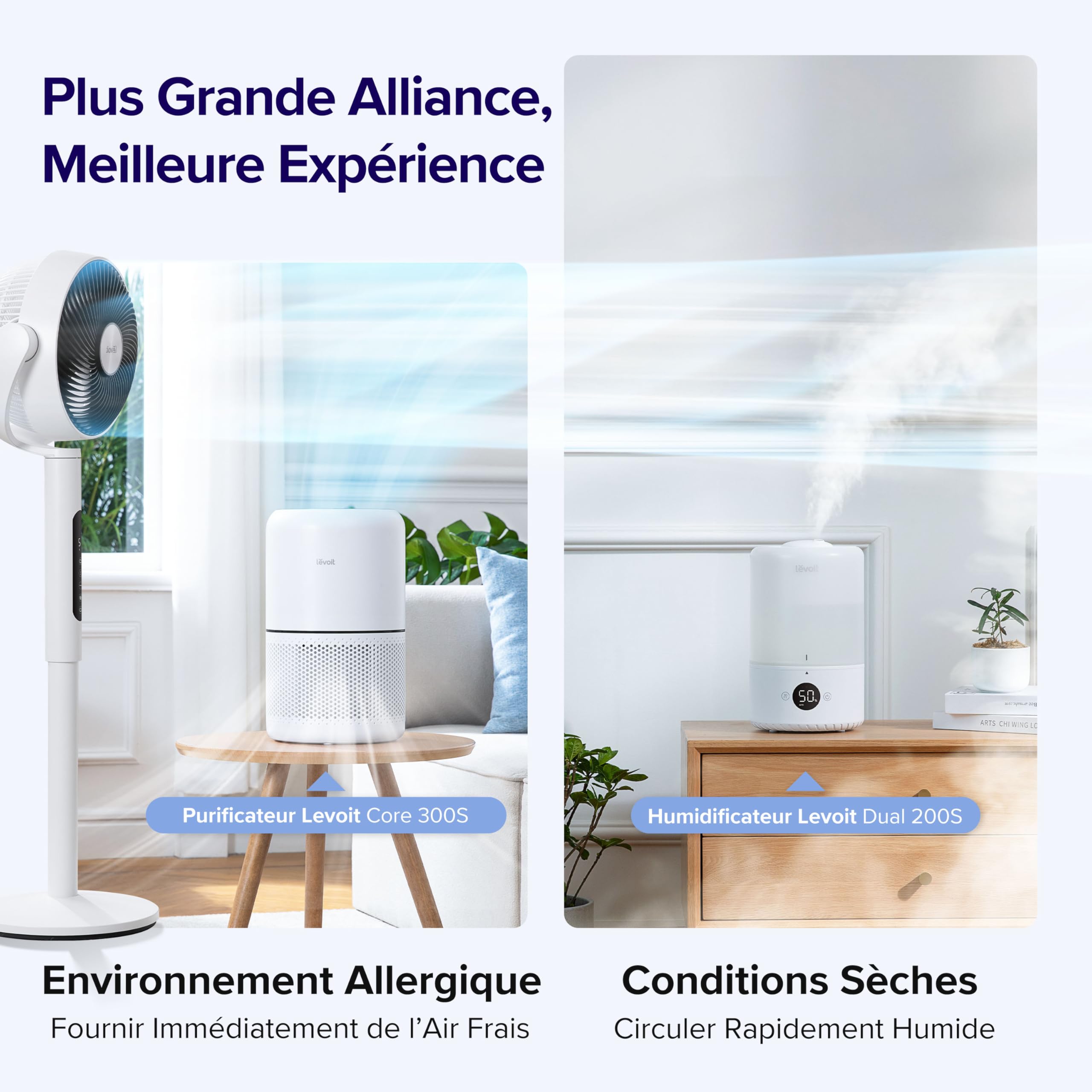 LEVOIT Ventilateur Wi-Fi Silencieux DC 12 Vitesses - Golden High-Tech
